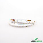 Светодиодная лента Leds Power smd2835 64м (6Втм) холодная 24В LUX 160